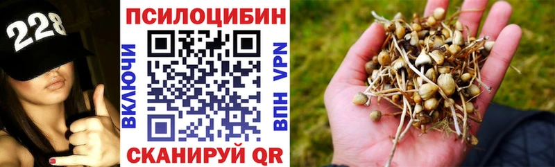 Галлюциногенные грибы Psilocybine cubensis  Никольск 
